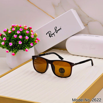 Ray-Ban 2622 Sunglasses - Free Shipping